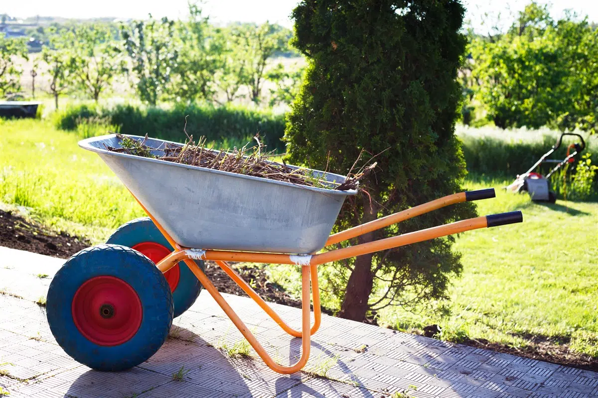 jardin potager