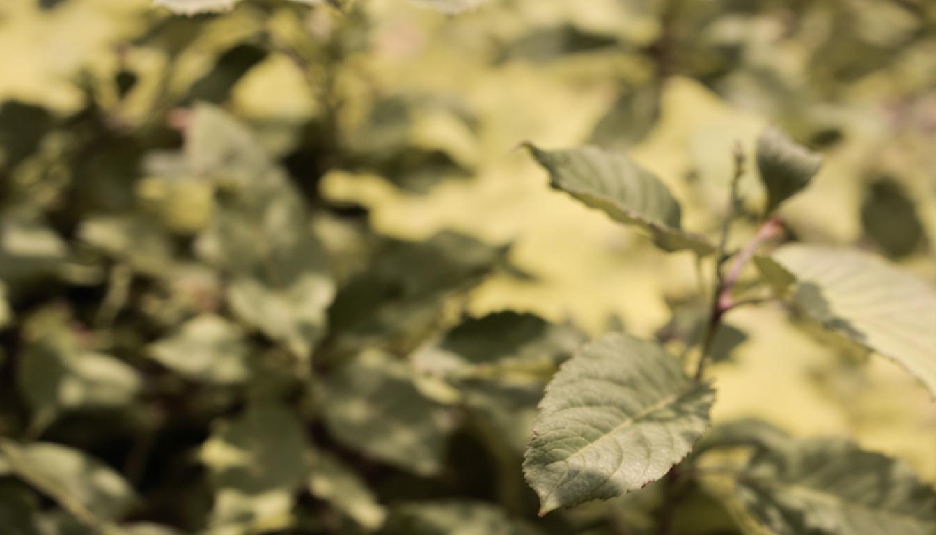 trouvez la taille idéale de box de stockage à thiais - belle épine pour entreposer vos meubles en toute sécurité. conseils et solutions adaptées à vos besoins de rangement.